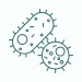 Pathology